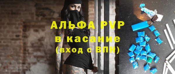 стафф Ладушкин