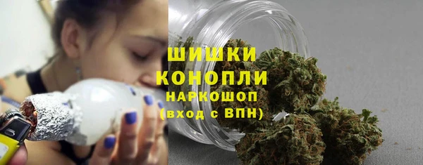 стафф Ладушкин