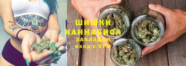 стафф Ладушкин